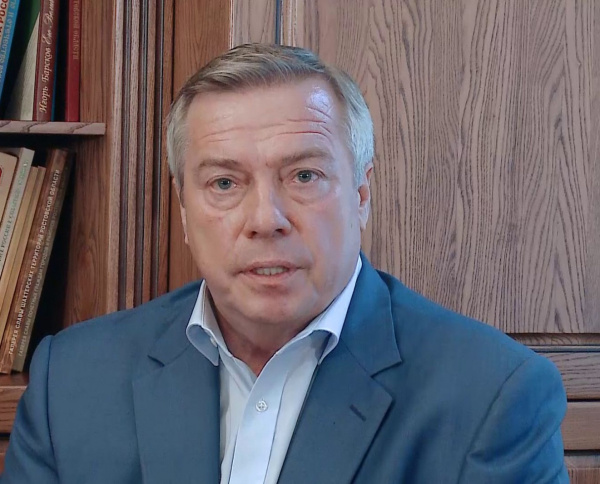 Василий Голубев: «С 6 июля на Дону в полном объёме возобновят работу детские сады»