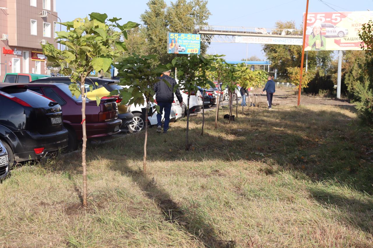В Батайске прошел осенний День древонасаждения