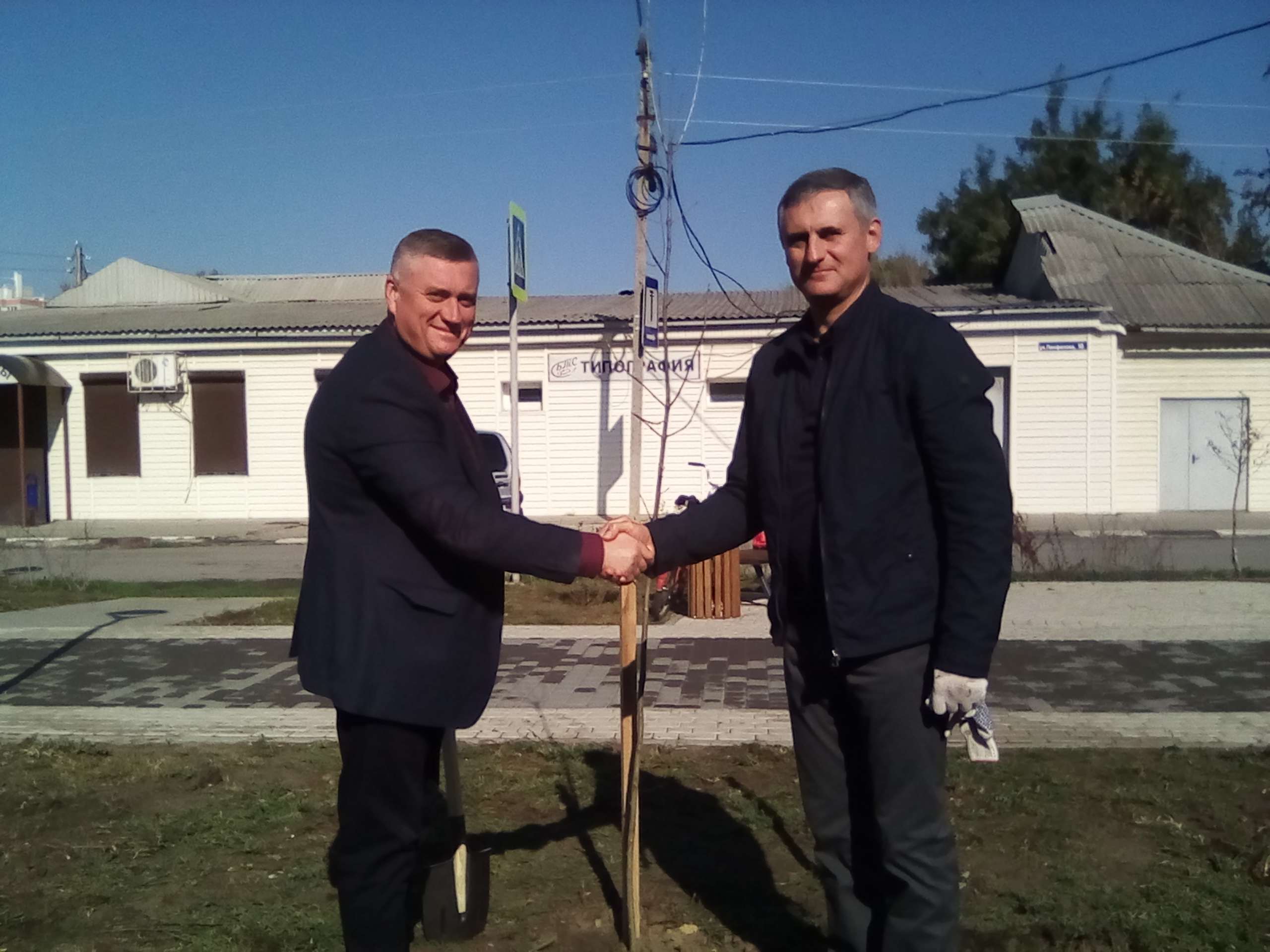 В Батайске высадят более 1300 саженцев деревьев и кустарников