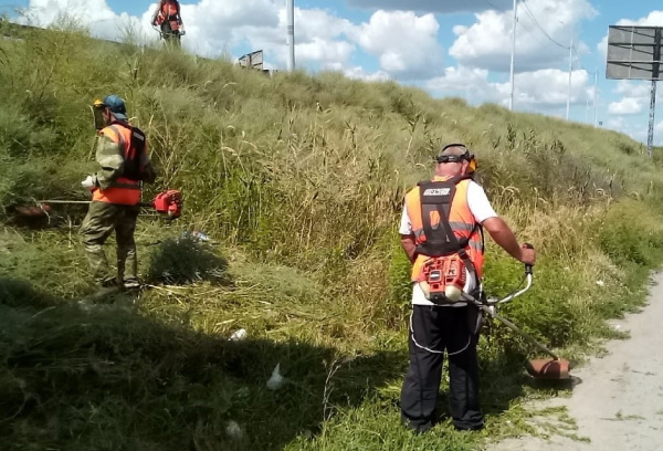 В Батайске ведутся работы по покосу сорной растительности