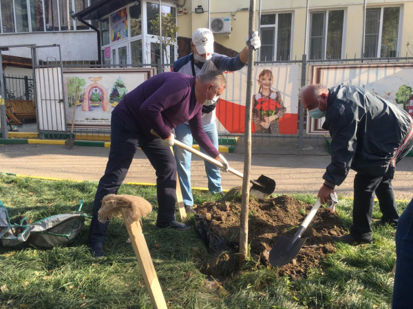 В Батайске состоялся день древонасаждения