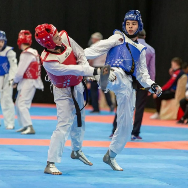 Батайские спортсмены - призеры Всероссийского турнира по тхэквондо