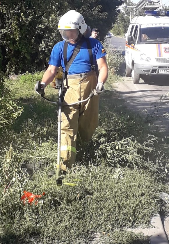 В Батайске продолжаются работы по покосу сорной растительности