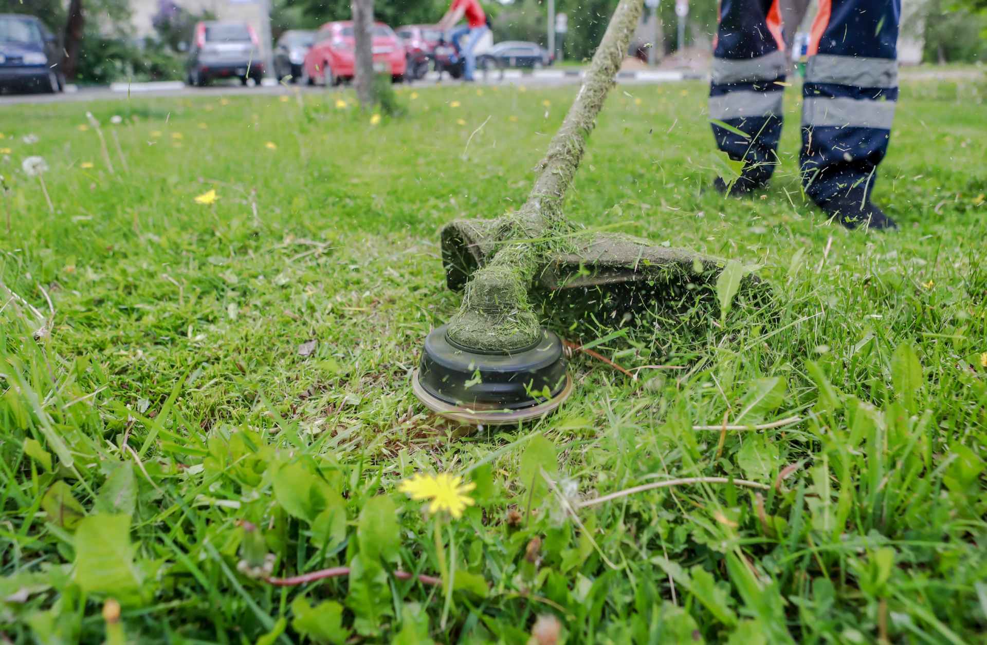 В Батайске продолжаются работы по покосу сорной растительности и ликвидации свалочных очагов