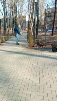 В Батайске в рамках Дня весеннего древонасаждения высажены десятки деревьев и более 1000 единиц кустарника.