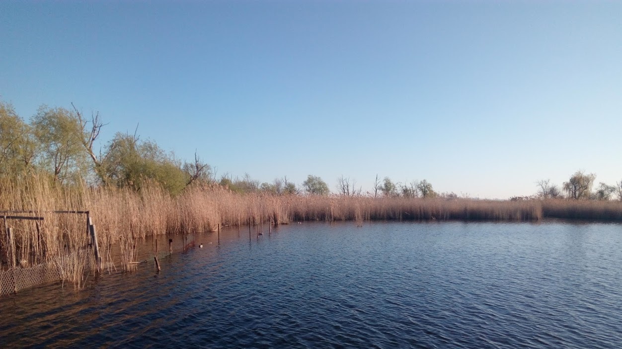 Проведено обследование канала в районе базы "Казачка"