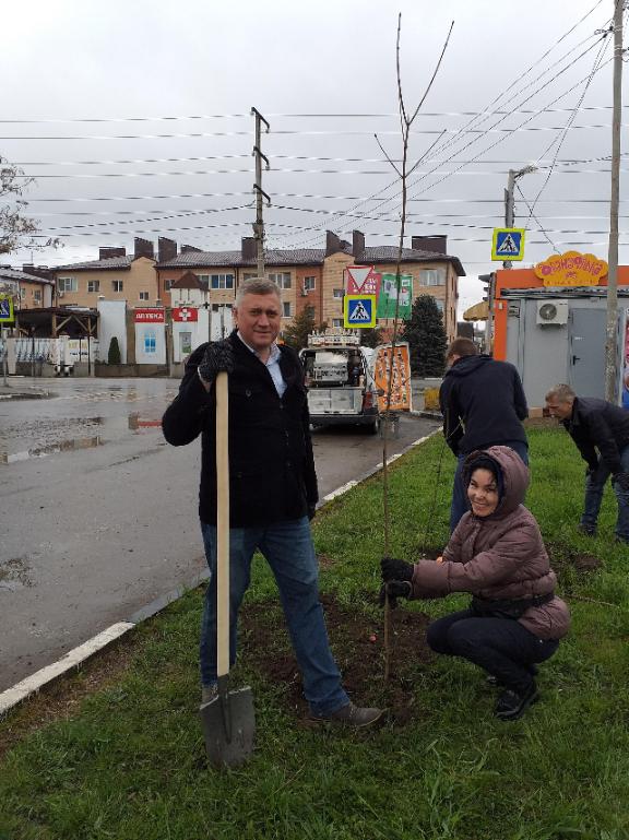В Батайске деревья защитят от снежных заносов дорогу в Залесье