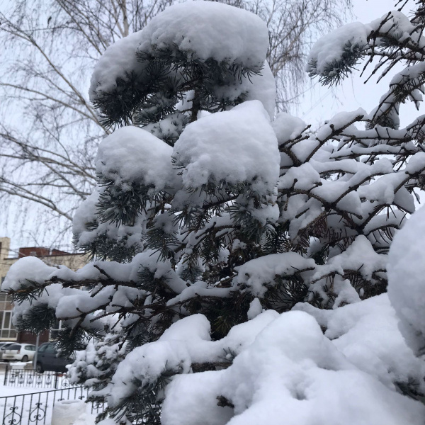 В Батайске ожидается ухудшение погодных условий