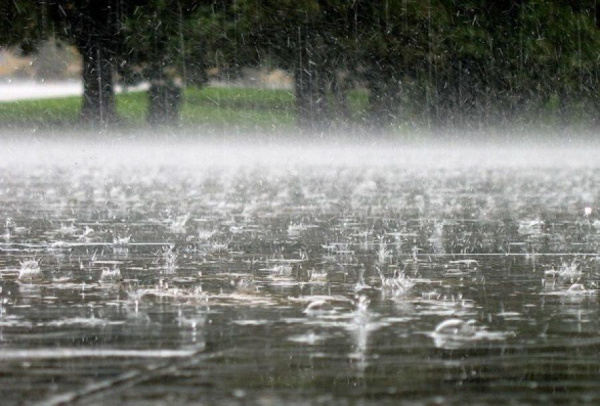 В Ростовской области объявлено экстренное предупреждение о неблагоприятных погодных явлениях