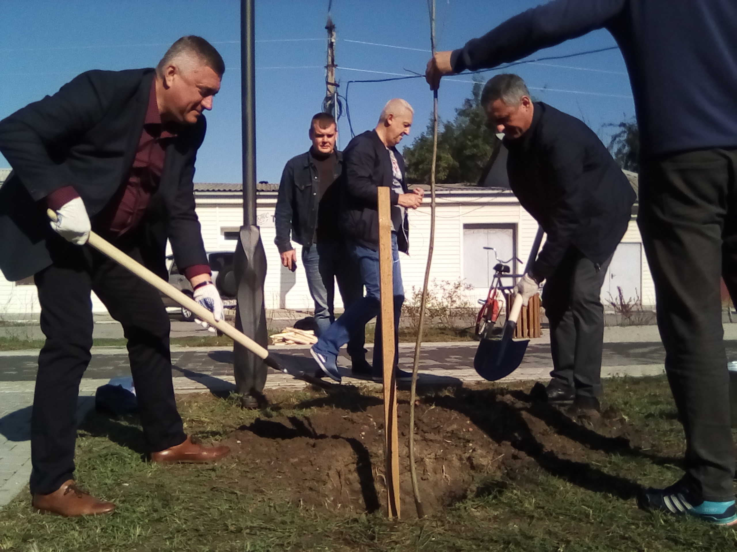 На аллее Панфилова высадили новые деревья, а в парке Ленина обрезали старые
