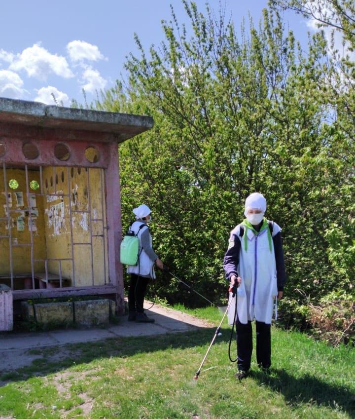 В городе проводится противоклещевая обработка      