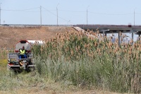 В Батайске определены участки контролируемого выжигания сухой растительности и камыша