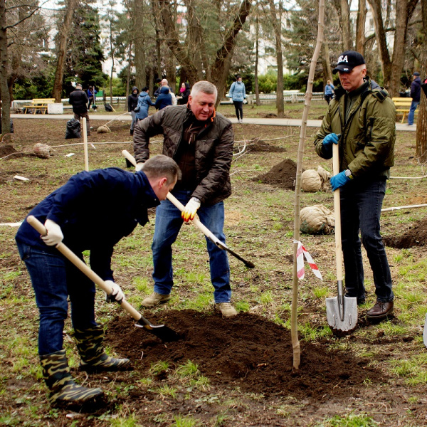 В Батайске состоялся субботник и день древонасаждений.