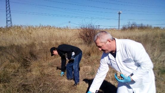 В Батайске проведена профилактика распространения бешенства  в среде диких животных