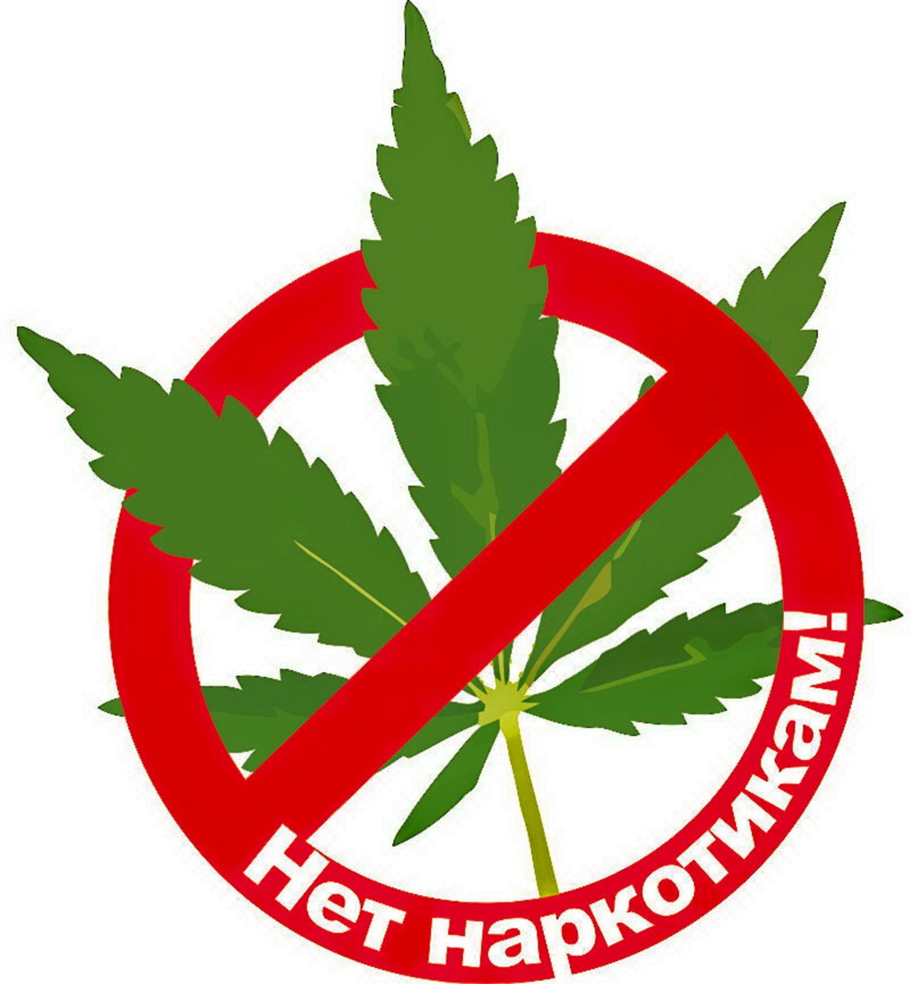 На территории Ростовской области запланировано проведение трех этапов операции Мак-2021