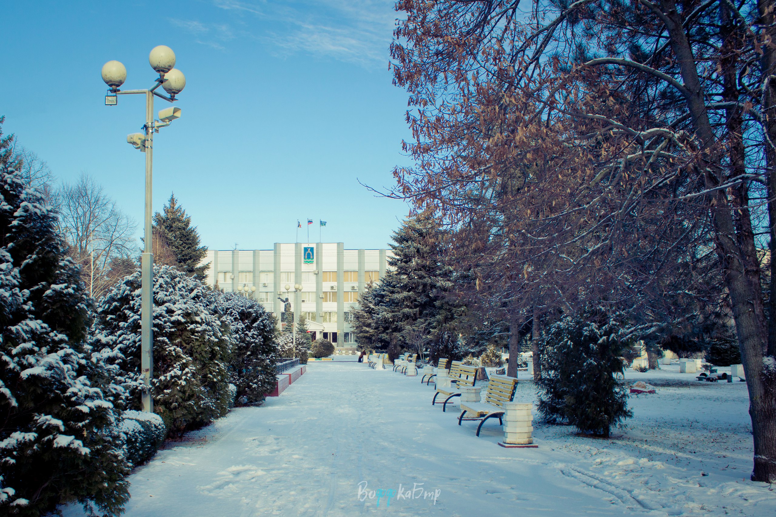 Главная городская ёлка зажжет свои огни 25 декабря