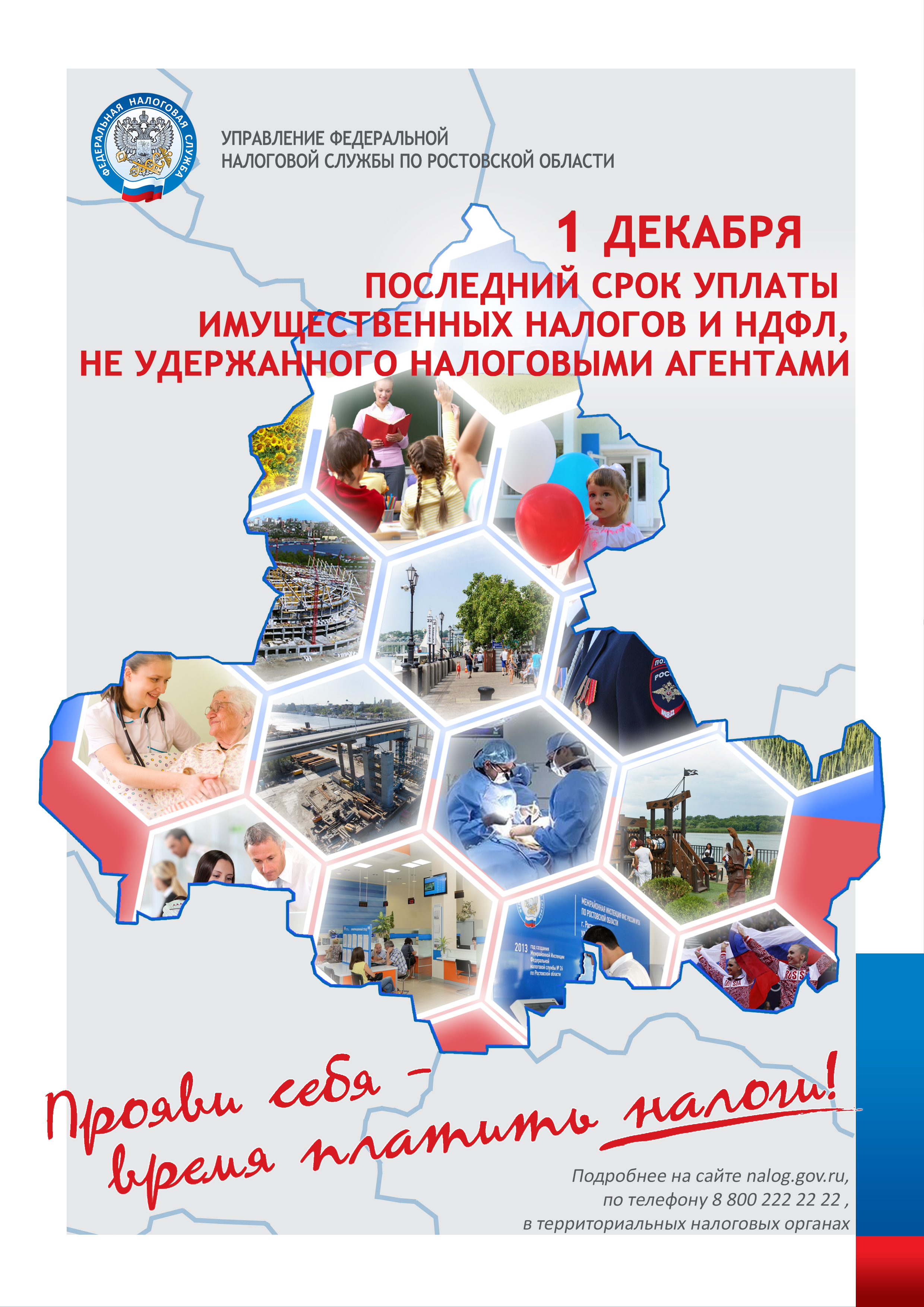 Срок уплаты имущественного налога - 1 декабря