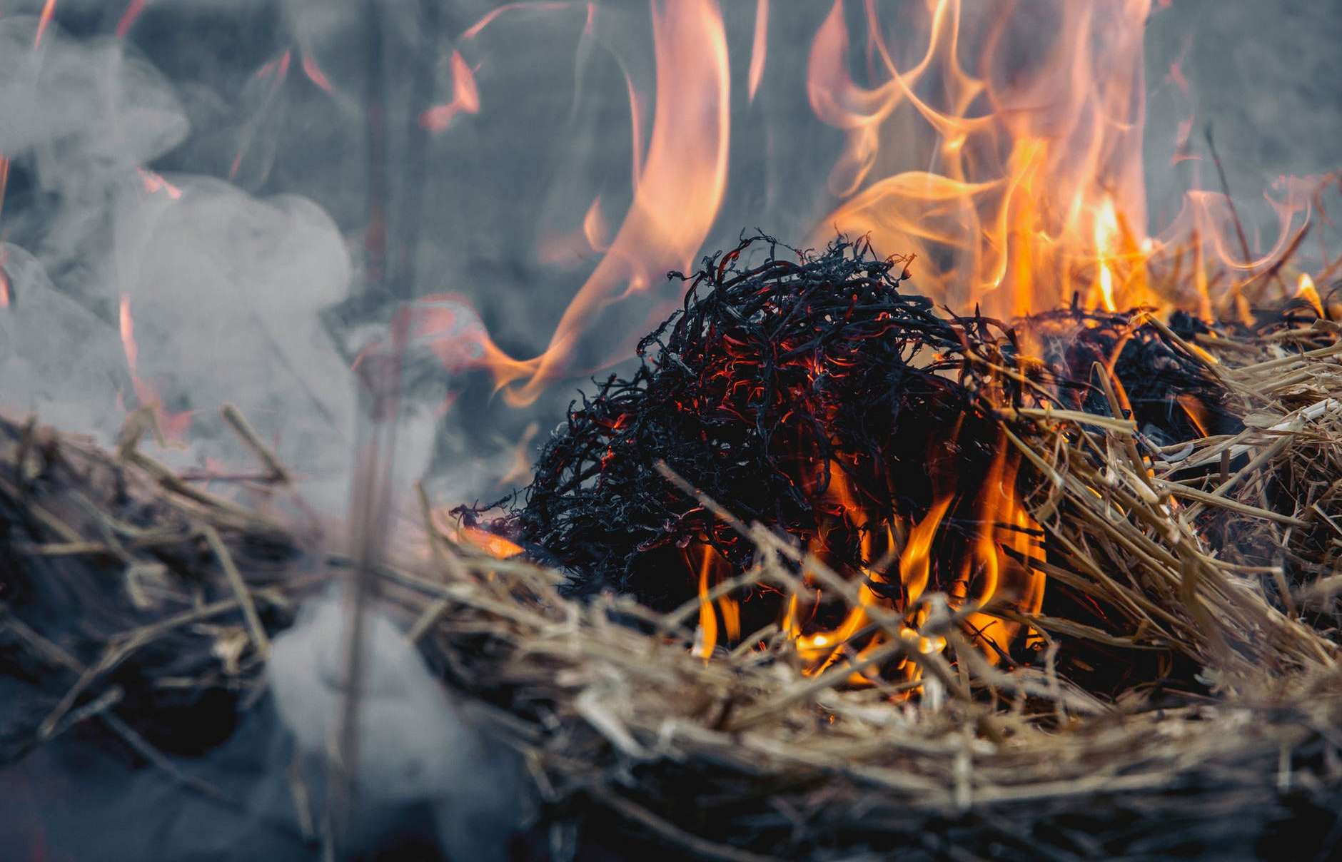 В результате пожара на улице Калинина пострадавших и разрушений нет