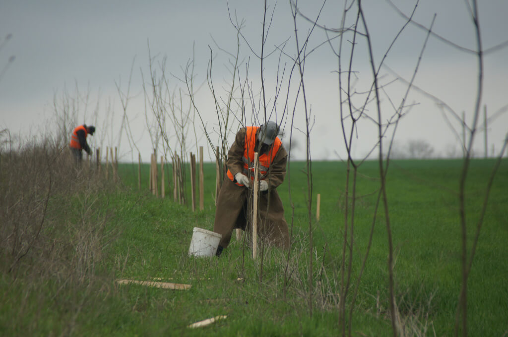 И еще о работе ЖКХ…
