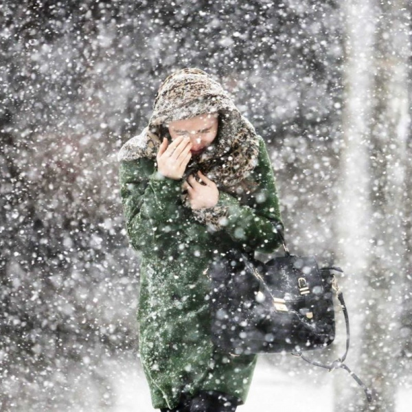 В Ростовской области продолжится выпадение снега