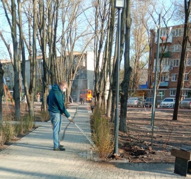 В Батайске в рамках Дня весеннего древонасаждения высажены десятки деревьев и более 1000 единиц кустарника.