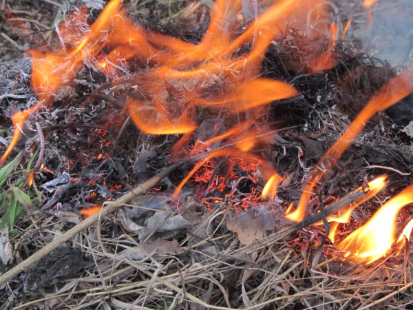 На территории Ростовской области ожидается чрезвычайная пожароопасность