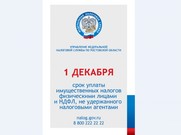 Срок уплаты имущественного налога - 1 декабря