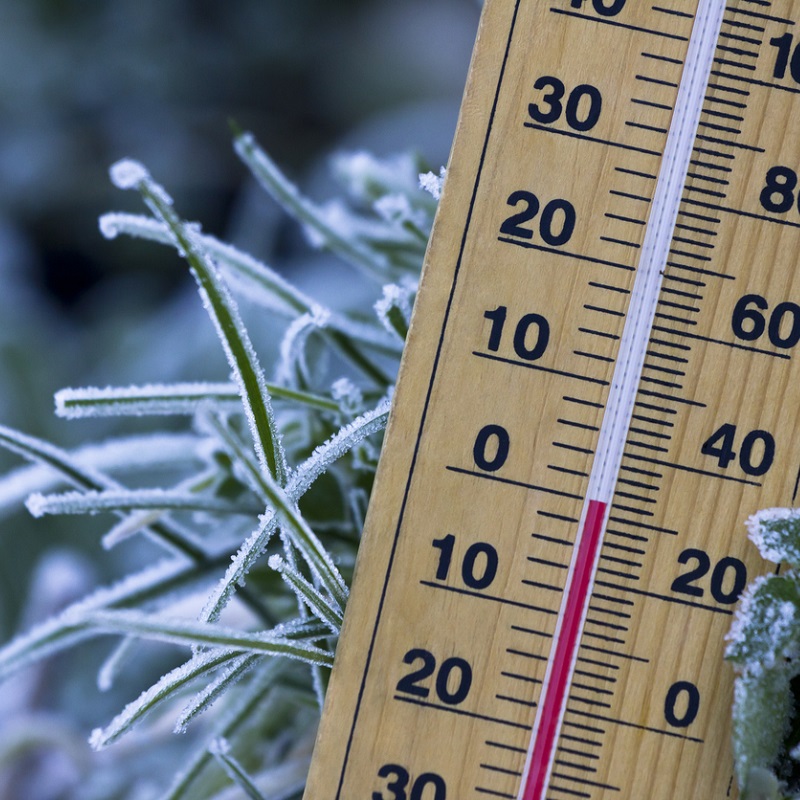 27-28 апреля на Дону местами ожидаются заморозки