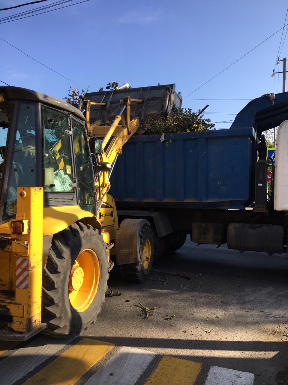 В Батайске ликвидируют свалочные очаги