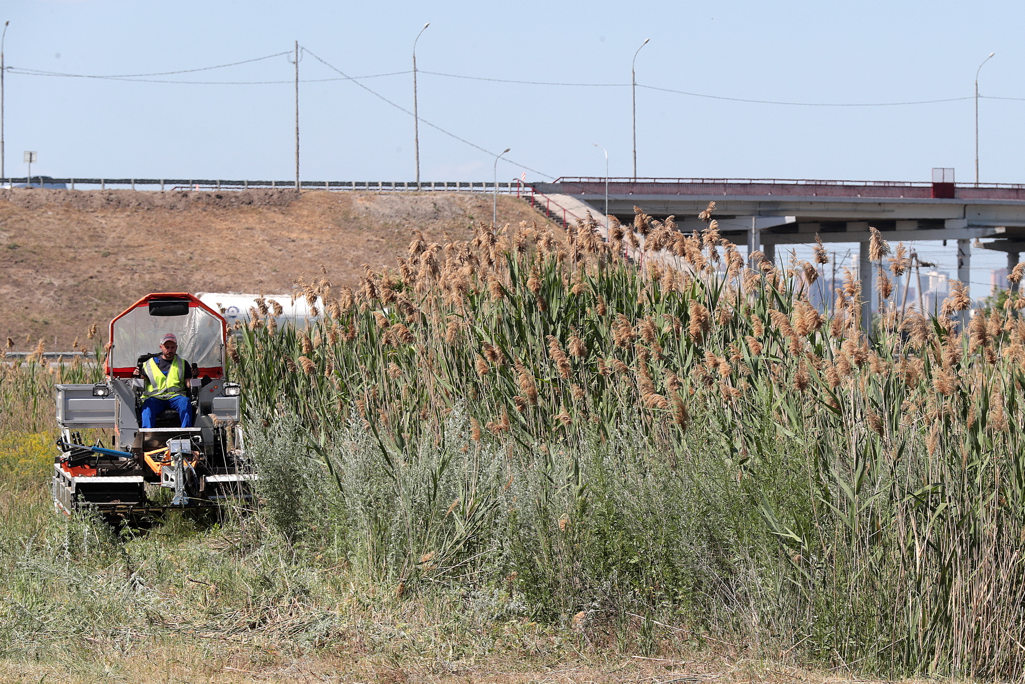В Батайске определены участки контролируемого выжигания сухой растительности и камыша