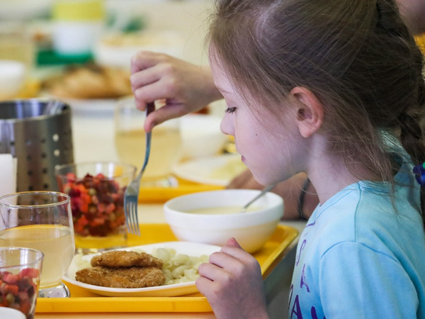 Более 7000 учащихся начальных классов Батайска обеспечат бесплатным питанием