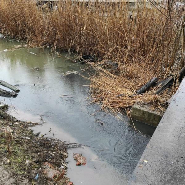 Русло ручья Быстрый очистили от мусора