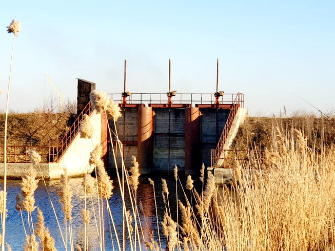 WhatsApp Image 2019-02-21 at 11.23.41(3).jpeg