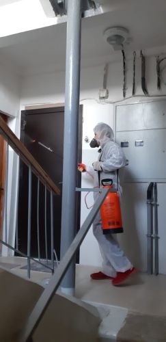 дезинф подъездов_500.jpg