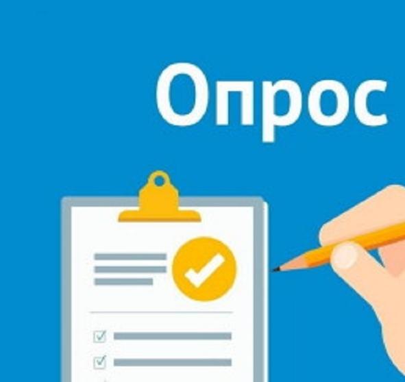 Опросы населения и субъектов предпринимательской деятельности