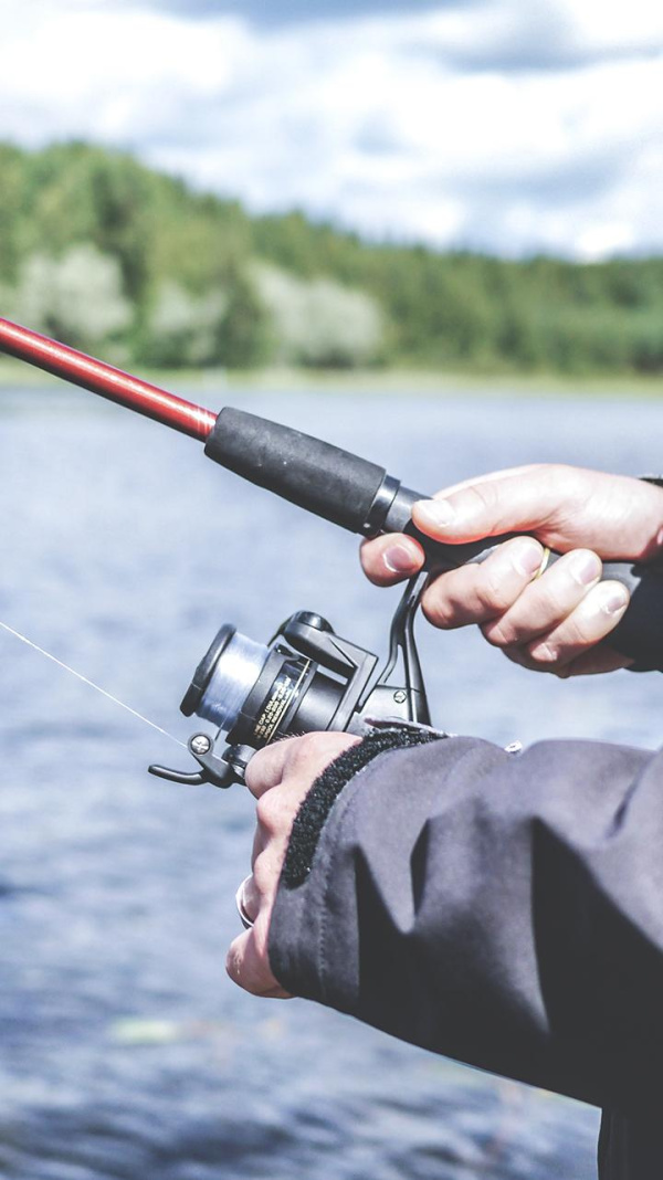 Информация для батайчан, осуществляющих любительское рыболовство