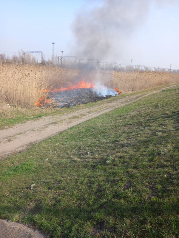 В Батайске начали плановое выжигание сухой растительности