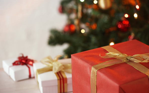 В Батайске многодетные семьи и семьи с детьми-инвалидами получат новогодние подарки 